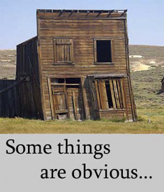 Some things are obvious. For the things that aren't, you need a professional home inspection